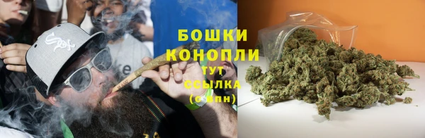 ПСИЛОЦИБИНОВЫЕ ГРИБЫ Балабаново