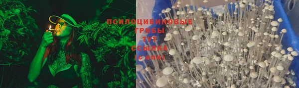 тгк Белоозёрский