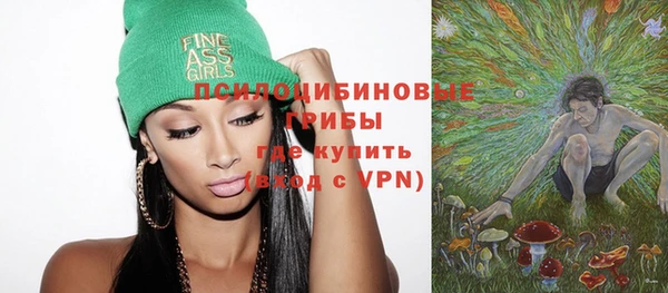 сатива Сосновка